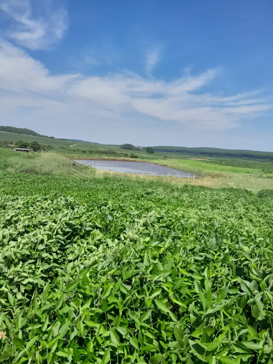 LOTE 001 - Uma fração de campo com a área total de 15,5625ha, situada na localidade de Chapadão, Carneirinho no município de Unistalda/RS. Matriculado sob n° 49.482 do CRI de Santiago/RS. Conforme a avaliação, a propriedade fica 2,5 Km da BR 287, Distrito Carneirinho (entra na casa velha, estrada de chão, à esquerda, sentido Santiago/São Borja). Terras de plantações, nos 15,5625 ha fica a casa de moradia da propriedade (casa de material, sem reboco, com seis peças), uma barragem recém construída 120x100m e uma lavoura de soja.