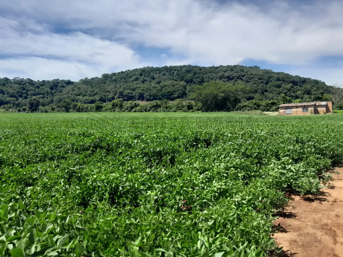 LOTE 001 - Uma fração de campo com a área total de 15,5625ha, situada na localidade de Chapadão, Carneirinho no município de Unistalda/RS. Matriculado sob n° 49.482 do CRI de Santiago/RS. Conforme a avaliação, a propriedade fica 2,5 Km da BR 287, Distrito Carneirinho (entra na casa velha, estrada de chão, à esquerda, sentido Santiago/São Borja). Terras de plantações, nos 15,5625 ha fica a casa de moradia da propriedade (casa de material, sem reboco, com seis peças), uma barragem recém construída 120x100m e uma lavoura de soja.