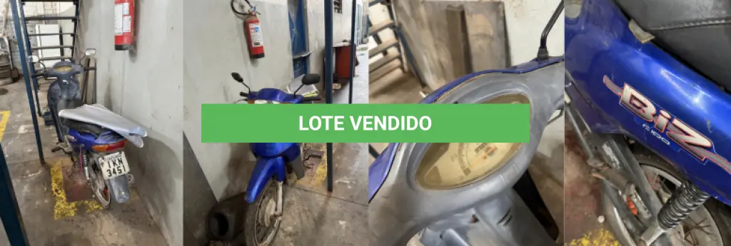 LOTE 019