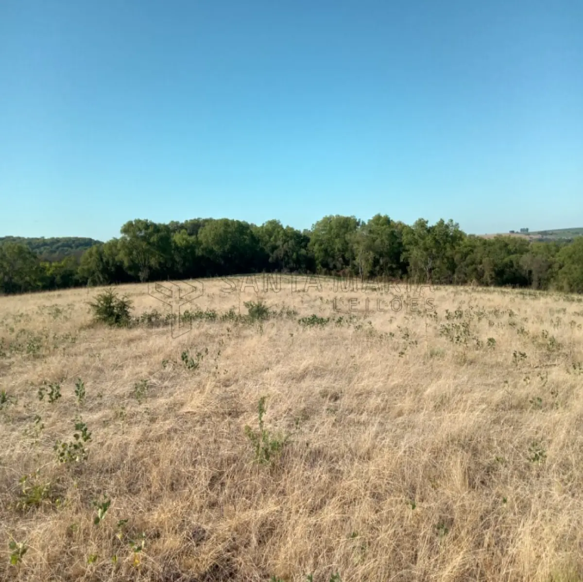 LOTE 001