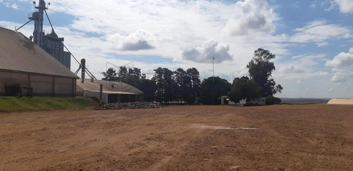 LOTE 001 - Centro de recebimento, secagem e armazenagem de grãos no Distrito de Coimbra, com construção de alvenaria destinada para escritório e atendimento com aprox. 150m². Ao lado, um galpão para recebimento de grãos com 4 moegas, um galpão para armazenagem e onde está localizada a caldeira do secador, separador e estoque de insumos, duas balanças rodoviárias de aproximadamente 70m² cada uma, e um silo horizontal de concreto para armazenagem de grãos, com capacidade para 200mil sacos, demais equipamentos e benfeitorias (benfeitorias não averbadas na matrícula).
