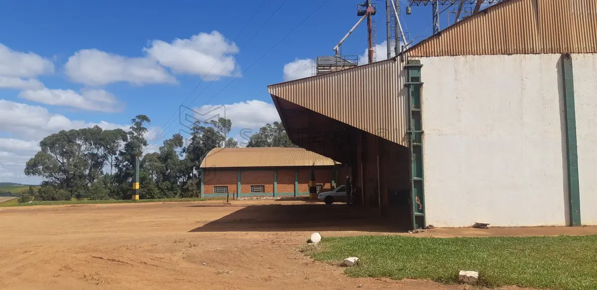 LOTE 002 - Um galpão para recebimento de grãos,situado em Santa Tecla, com 4 moegas, com capacidade de recebimento de 1.500 sacos, um elevador com capacidade de 120 toneladas/hora, um galpão para armazenagem e onde está localizada a caldeira do secador (capacidade 1.000 sacos), separador e estoques de insumos, duas balanças rodoviárias de aprox. 50m² cada uma, três silos cilíndricos para armazenagem de grãos com capacidade de 75.000 sacos, construções de alvenaria destinada para escritório e atendimento com aproximadamente 100m², uma construção destinada para dormitórios de funcionários, com 8 quartos, 2 vestiários, 1 banheiro, 1 sala, 1 refeitório e 1 cozinha, com aprox. 350m², demais equipamentos e benfeitorias.