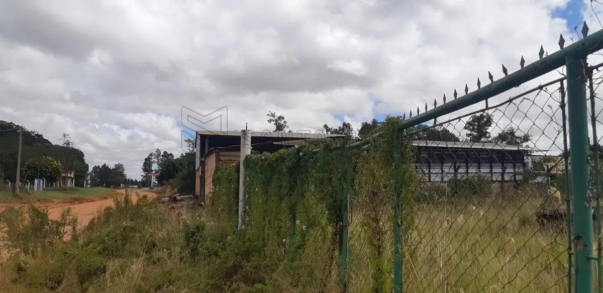 LOTE 007 - O lote n° 02, com área de 3.901,38m², sem benfeitorias, de forma trapezoidal, localizado na Rua Protásio Lima, a qual está asfaltada e distante 266,50m da bifurcação da Av. Presidente Getúlio Vargas, nesta cidade, na quadra nº 51, lado ímpar, com as seguintes medidas e confrontações: ao Norte, 32m com lotes nº 09 e 10 de Nelson Chassavoimaister e outros; Leste, 138,50m com o lote nº 03; Sul, 29,50m com o prolongamento da rua Antônio Silveira; e, ao Oeste, 126m com o lote nº 01. Conforme AV-7/7.897, o imóvel está localizado na rua Protásio Lima de Moraes, nº 1529, lado ímpar, distante aproximadamente 200,50m da bifurcação com a Av. Presidente Getúlio Vargas, Quadra oficial 51, quadra atual 15, Setor 004, sendo o quarteirão formado: ao Norte, com a Av. Presidente Getúlio Vargas; ao Sul, com a rua Protásio Lima de Moraes e rua Major Antônio José da Silveira; ao Leste, com a Av. Rio Branco, rua Albino Medeiros de Farias e rua Antônio Pereira; e, ao Oeste, com a bifurcação da Protásio Lima de Moraes e Av. Presidente Vargas. Matriculado sob n° 7.897 do CRI de Tupanciretã/RS.