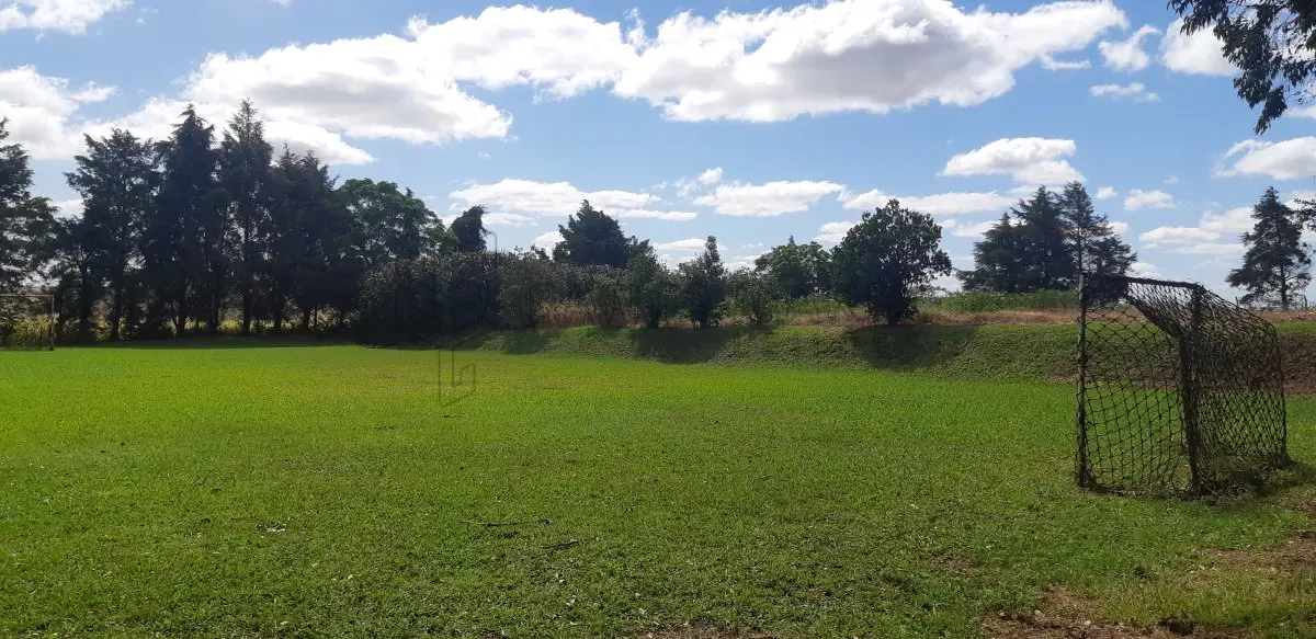 LOTE 002 - Um galpão para recebimento de grãos,situado em Santa Tecla, com 4 moegas, com capacidade de recebimento de 1.500 sacos, um elevador com capacidade de 120 toneladas/hora, um galpão para armazenagem e onde está localizada a caldeira do secador (capacidade 1.000 sacos), separador e estoques de insumos, duas balanças rodoviárias de aprox. 50m² cada uma, três silos cilíndricos para armazenagem de grãos com capacidade de 75.000 sacos, construções de alvenaria destinada para escritório e atendimento com aproximadamente 100m², uma construção destinada para dormitórios de funcionários, com 8 quartos, 2 vestiários, 1 banheiro, 1 sala, 1 refeitório e 1 cozinha, com aprox. 350m², demais equipamentos e benfeitorias.