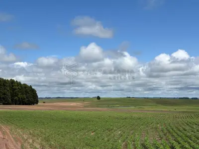 LOTE 001 - Uma fração de terras de campo com a área de 50ha (cinquenta hectares), situado em Bolena, antigo 3º Distrito, no subdistrito Olhos D’Água, atual município de Hulha Negra/RS. Matriculado sob n° 49.667 do CRI de Bagé/RS.