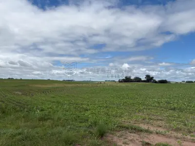 LOTE 001 - Uma fração de terras de campo com a área de 50ha (cinquenta hectares), situado em Bolena, antigo 3º Distrito, no subdistrito Olhos D’Água, atual município de Hulha Negra/RS. Matriculado sob n° 49.667 do CRI de Bagé/RS.