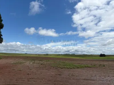 LOTE 001 - Uma fração de terras de campo com a área de 50ha (cinquenta hectares), situado em Bolena, antigo 3º Distrito, no subdistrito Olhos D’Água, atual município de Hulha Negra/RS. Matriculado sob n° 49.667 do CRI de Bagé/RS.