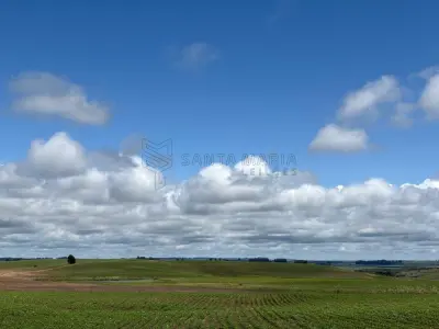 LOTE 001 - Uma fração de terras de campo com a área de 50ha (cinquenta hectares), situado em Bolena, antigo 3º Distrito, no subdistrito Olhos D’Água, atual município de Hulha Negra/RS. Matriculado sob n° 49.667 do CRI de Bagé/RS.