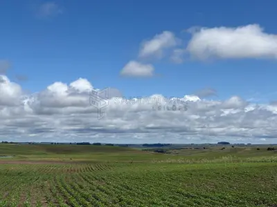 LOTE 001 - Uma fração de terras de campo com a área de 50ha (cinquenta hectares), situado em Bolena, antigo 3º Distrito, no subdistrito Olhos D’Água, atual município de Hulha Negra/RS. Matriculado sob n° 49.667 do CRI de Bagé/RS.