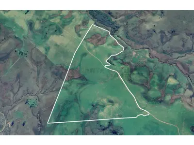 LOTE 001 - Uma fração de terras de campo com a área de 50ha (cinquenta hectares), situado em Bolena, antigo 3º Distrito, no subdistrito Olhos D’Água, atual município de Hulha Negra/RS. Matriculado sob n° 49.667 do CRI de Bagé/RS.