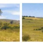 50,4471HA DENTRO DO IMÓVEL DE MATRÍCULA Nº 30.019 DO REGISTRO DE IMÓVEIS DE ALEGRETE, NO LUGAR DENOMINADO CATIMBAU, FAZENDA TRÊS CERROS, COM ÁREA SUPERFICIAL DE 100,8942HA, CONFRONTANDO-SE: AO NORTE, COM RIBERTO VILAVERDE SOUTO E SORMANI VILAVERDE SOUTO (FAZENDA TRÊS CERROS) E FRANCISCO FERNANDO FLORES BOTTARO (ESTÂNCIA SÃO DIOGO); AO SUL, COM MARCOS DUARTE PRATES (AGROPECUÁRIA STA. RITA) E RUBEM RONALDO MENEZES PINHO; AO LESTE, COM RIBERTO VILAVERDE SOUTO E SORMANI VILAVERDE SOUTO (FAZENDA TRÊS CERROS), ODILA CAMPOS DE ABREU (SÃO JUDAS TADEU) E RUBEM RONALDO MENEZES PINHO; E, AO OESTE, COM FRANCISCO FERNANDO FLORES BOTTARO (ESTÂNCIA SÃO DIOGO) E A RIBERTO VILAVERDE SOUTO E SORMANI VILAVERDE SOUTO (FAZENDA TRÊS CERROS). MATRICULADO SOB N° 30.019 DO CRI DE ALEGRETE/RS.