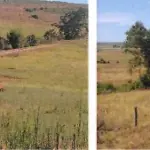 50,4471HA DENTRO DO IMÓVEL DE MATRÍCULA Nº 30.019 DO REGISTRO DE IMÓVEIS DE ALEGRETE, NO LUGAR DENOMINADO CATIMBAU, FAZENDA TRÊS CERROS, COM ÁREA SUPERFICIAL DE 100,8942HA, CONFRONTANDO-SE: AO NORTE, COM RIBERTO VILAVERDE SOUTO E SORMANI VILAVERDE SOUTO (FAZENDA TRÊS CERROS) E FRANCISCO FERNANDO FLORES BOTTARO (ESTÂNCIA SÃO DIOGO); AO SUL, COM MARCOS DUARTE PRATES (AGROPECUÁRIA STA. RITA) E RUBEM RONALDO MENEZES PINHO; AO LESTE, COM RIBERTO VILAVERDE SOUTO E SORMANI VILAVERDE SOUTO (FAZENDA TRÊS CERROS), ODILA CAMPOS DE ABREU (SÃO JUDAS TADEU) E RUBEM RONALDO MENEZES PINHO; E, AO OESTE, COM FRANCISCO FERNANDO FLORES BOTTARO (ESTÂNCIA SÃO DIOGO) E A RIBERTO VILAVERDE SOUTO E SORMANI VILAVERDE SOUTO (FAZENDA TRÊS CERROS). MATRICULADO SOB N° 30.019 DO CRI DE ALEGRETE/RS.