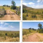 50,4471HA DENTRO DO IMÓVEL DE MATRÍCULA Nº 30.019 DO REGISTRO DE IMÓVEIS DE ALEGRETE, NO LUGAR DENOMINADO CATIMBAU, FAZENDA TRÊS CERROS, COM ÁREA SUPERFICIAL DE 100,8942HA, CONFRONTANDO-SE: AO NORTE, COM RIBERTO VILAVERDE SOUTO E SORMANI VILAVERDE SOUTO (FAZENDA TRÊS CERROS) E FRANCISCO FERNANDO FLORES BOTTARO (ESTÂNCIA SÃO DIOGO); AO SUL, COM MARCOS DUARTE PRATES (AGROPECUÁRIA STA. RITA) E RUBEM RONALDO MENEZES PINHO; AO LESTE, COM RIBERTO VILAVERDE SOUTO E SORMANI VILAVERDE SOUTO (FAZENDA TRÊS CERROS), ODILA CAMPOS DE ABREU (SÃO JUDAS TADEU) E RUBEM RONALDO MENEZES PINHO; E, AO OESTE, COM FRANCISCO FERNANDO FLORES BOTTARO (ESTÂNCIA SÃO DIOGO) E A RIBERTO VILAVERDE SOUTO E SORMANI VILAVERDE SOUTO (FAZENDA TRÊS CERROS). MATRICULADO SOB N° 30.019 DO CRI DE ALEGRETE/RS.