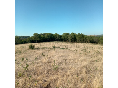 LOTE 001 - Uma fração ideal de 15 hectares dentro de uma área maior de 40 hectares, situada no 1º Distrito do município de São Francisco de Assis/RS, lugar denominado ‘’Esquina Gioda’’. Matriculado sob n°14.179 do CRI de São Francisco de Assis/RS.