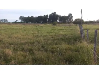 LOTE 001 - Parte ideal de 4,83 hectares, correspondente ao R.14, em condomínio na área constante da matrícula, com a área total de 42,7 hectares, situada no 8º subdistrito de Alegrete, lugar denominado ‘’Caverá’’, confrontando com a BR 290. Matriculado sob n°4.494 do CRI de Alegrete/RS.