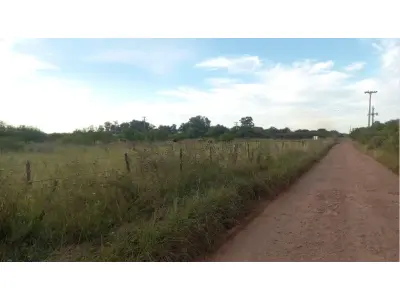 LOTE 001 - Parte ideal de 4,83 hectares, correspondente ao R.14, em condomínio na área constante da matrícula, com a área total de 42,7 hectares, situada no 8º subdistrito de Alegrete, lugar denominado ‘’Caverá’’, confrontando com a BR 290. Matriculado sob n°4.494 do CRI de Alegrete/RS.