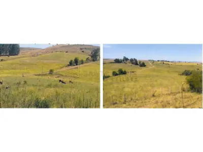 LOTE 000 - 50,4471ha dentro do imóvel de matrícula nº 30.019 do Registro de Imóveis de Alegrete, no lugar denominado Catimbau, Fazenda Três Cerros, com área superficial de 100,8942ha, confrontando-se: ao Norte, com Riberto Vilaverde Souto e Sormani Vilaverde Souto (Fazenda Três Cerros) e Francisco Fernando Flores Bottaro (Estância São Diogo); ao Sul, com Marcos Duarte Prates (Agropecuária Sta. Rita) e Rubem Ronaldo Menezes Pinho; ao Leste, com Riberto Vilaverde Souto e Sormani Vilaverde Souto (Fazenda Três Cerros), Odila Campos de Abreu (São Judas Tadeu) e Rubem Ronaldo Menezes Pinho; e, ao Oeste, com Francisco Fernando Flores Bottaro (Estância São Diogo) e a Riberto Vilaverde Souto e Sormani Vilaverde Souto (Fazenda Três Cerros). Matriculado sob n° 30.019 do CRI de Alegrete/RS.