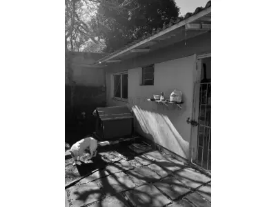 LOTE 001 - Casa de alvenaria na Rua Vereador Adolfo Souto Correia, n° 704 em Alegrete/RS e o respectivo terreno com as seguintes medidas e confrontações: 36m ao Norte, com o imóvel de propriedade de Máximo Edson Pinto Vilaverde; 35m ao Sul, com o imóvel de propriedade de Marileuza da Silva Vilaverde; 10m ao Leste, com imóvel de propriedade de Rui de Paula Souza; 10m ao Oeste, com a Rua Vereador Adolfo Souto Correia. Matriculado sob n° 12.280 do CRI de Alegrete/RS.