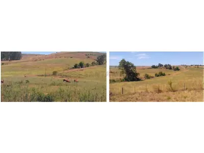 LOTE 000 - 50,4471ha dentro do imóvel de matrícula nº 30.019 do Registro de Imóveis de Alegrete, no lugar denominado Catimbau, Fazenda Três Cerros, com área superficial de 100,8942ha, confrontando-se: ao Norte, com Riberto Vilaverde Souto e Sormani Vilaverde Souto (Fazenda Três Cerros) e Francisco Fernando Flores Bottaro (Estância São Diogo); ao Sul, com Marcos Duarte Prates (Agropecuária Sta. Rita) e Rubem Ronaldo Menezes Pinho; ao Leste, com Riberto Vilaverde Souto e Sormani Vilaverde Souto (Fazenda Três Cerros), Odila Campos de Abreu (São Judas Tadeu) e Rubem Ronaldo Menezes Pinho; e, ao Oeste, com Francisco Fernando Flores Bottaro (Estância São Diogo) e a Riberto Vilaverde Souto e Sormani Vilaverde Souto (Fazenda Três Cerros). Matriculado sob n° 30.019 do CRI de Alegrete/RS.