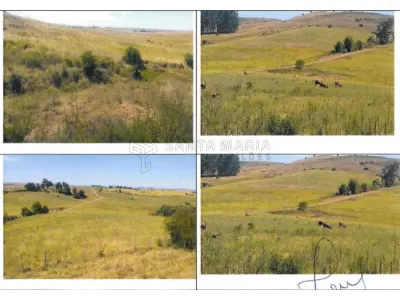 LOTE 000 - 50,4471ha dentro do imóvel de matrícula nº 30.019 do Registro de Imóveis de Alegrete, no lugar denominado Catimbau, Fazenda Três Cerros, com área superficial de 100,8942ha, confrontando-se: ao Norte, com Riberto Vilaverde Souto e Sormani Vilaverde Souto (Fazenda Três Cerros) e Francisco Fernando Flores Bottaro (Estância São Diogo); ao Sul, com Marcos Duarte Prates (Agropecuária Sta. Rita) e Rubem Ronaldo Menezes Pinho; ao Leste, com Riberto Vilaverde Souto e Sormani Vilaverde Souto (Fazenda Três Cerros), Odila Campos de Abreu (São Judas Tadeu) e Rubem Ronaldo Menezes Pinho; e, ao Oeste, com Francisco Fernando Flores Bottaro (Estância São Diogo) e a Riberto Vilaverde Souto e Sormani Vilaverde Souto (Fazenda Três Cerros). Matriculado sob n° 30.019 do CRI de Alegrete/RS.