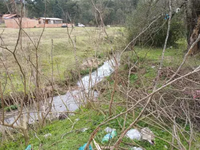 LOTE 001 - Um terreno, situado nos subúrbios da cidade de Santana do Livramento/RS, no lugar denominado Vila Sílvia, Lote n° 79, da quadra 1, com a área total de 309,07m2, medindo 14,50 metros de frente a Rua 1, por 31,90 metros de frente a fundos pelo lado direito de quem olha o terreno de frente, onde linda com o lote n° 80, do lado esquerdo mede 33,09 metros e linda com o Sr. Celso dos Santos Farias, nos fundos mede 5,00 metros de largura e linha com Francisco Argiles Linares, distante 52,50 metros da esquina da Rua Rivarol dos Santos Padilha. Conforme matrícula nº 14.171 do Registro de Imóveis de Santana do Livramento.