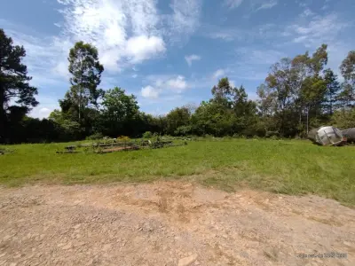 LOTE 001 - Um terreno com aproximadamente 7.000,00m² no Distrito Industrial de Santiago/RS, na Rua Alberto Bochi, antiga rua C, nº 156, possuindo uma área construída com aproximadamente 420,00m². Localizado no lado direito para quem observa da BR 287, distando 110m da esquina com a rua A; medindo pela frente 55m; lado direito mede 144,50m; lado esquerdo mede 113,90m e pelos fundos com uma sanga, mede 63m. Matriculado sob n° 28.317 do CRI de Santiago/RS.