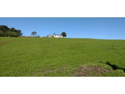 LOTE 001 - 4,0426 hectares sendo 0,2218ha pertencentes ao R.13 da matrícula 12.225 e, 3,8208ha pertencentes ao R.23 da matrícula 12.231 de propriedade de Volnei Antonio Copetti, sendo áreas contíguas, embora matrículas distintas, ambas do CRI de Santa Maria/RS, localizadas no Distrito Boqueirão, 100, interior de São Martinho da Serra. As benfeitorias existentes no imóvel constam de 1 (uma) residência de alvenaria, medindo 8,0 m x 10,0 m, com varanda ao fundo do corpo da casa com 8,0 m x 5,0m em meia água contendo um banheiro e uma churrasqueira.