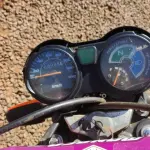 LOTE 0191