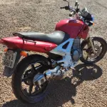LOTE 0187