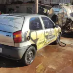 LOTE 0194
