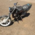 LOTE 0186