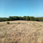 LOTE 001 - Uma fração ideal de 15 hectares dentro de uma área maior de 40 hectares, situada no 1º Distrito do município de São Francisco de Assis/RS, lugar denominado ‘’Esquina Gioda’’. Matriculado sob n°14.179 do CRI de São Francisco de Assis/RS.