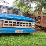LOTE 001 - Caminhonete FORD/F100, ano/modelo 1980/1980, placas IPY6878, RENAVAM 153347538, diesel, na cor branca, carroceria aberta, em bom estado e em uso.
