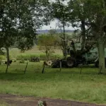 LOTE 004 - Um graneleiro marca MASAL, cor azul, capacidade de 12 toneladas.