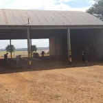 CENTRO DE RECEBIMENTO, SECAGEM E ARMAZENAGEM DE GRÃOS NO DISTRITO DE COIMBRA, COM CONSTRUÇÃO DE ALVENARIA DESTINADA PARA ESCRITÓRIO E ATENDIMENTO COM APROX. 150M². AO LADO, UM GALPÃO PARA RECEBIMENTO DE GRÃOS COM 4 MOEGAS, UM GALPÃO PARA ARMAZENAGEM E ONDE ESTÁ LOCALIZADA A CALDEIRA DO SECADOR, SEPARADOR E ESTOQUE DE INSUMOS, DUAS BALANÇAS RODOVIÁRIAS DE APROXIMADAMENTE 70M² CADA UMA, E UM SILO HORIZONTAL DE CONCRETO PARA ARMAZENAGEM DE GRÃOS, COM CAPACIDADE PARA 200MIL SACOS, DEMAIS EQUIPAMENTOS E BENFEITORIAS (BENFEITORIAS NÃO AVERBADAS NA MATRÍCULA).