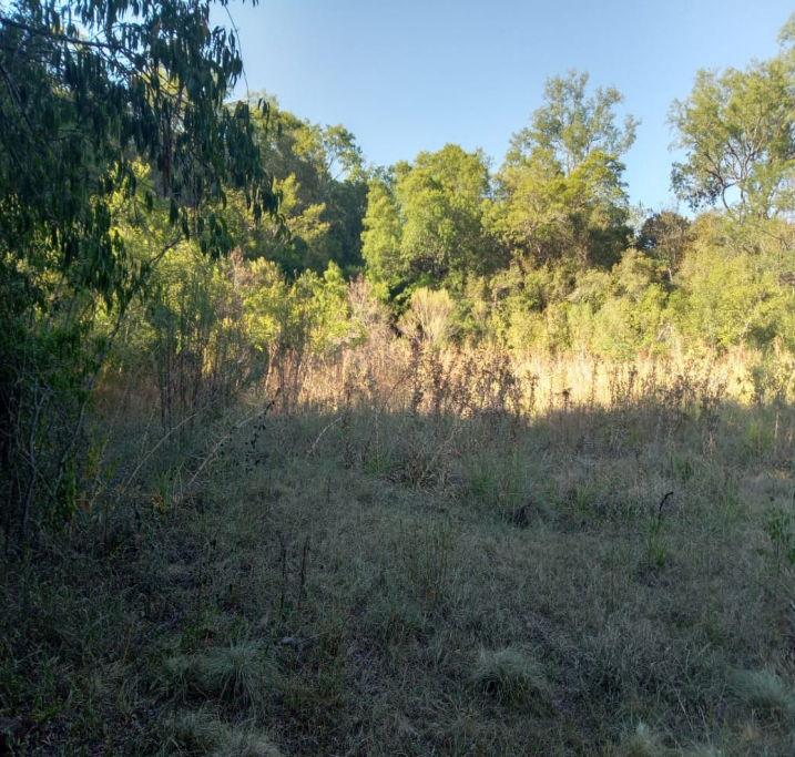 Uma fração ideal de 15 hectares dentro de uma área maior de 40 hectares, situada no 1º Distrito do município de São Francisco de Assis/RS, lugar denominado ‘’Esquina Gioda’’. Matriculado sob n°14.179 , localizado em São Francisco De Assis - RS